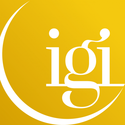 Institut IGI