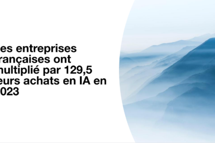 Les entreprises françaises ont multiplié par 129,5 leurs achats en IA en 2023